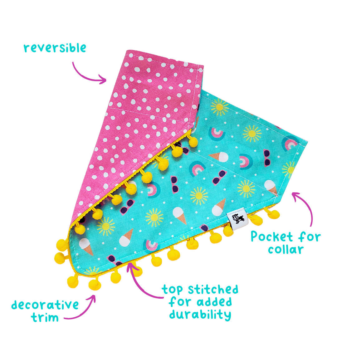 Beach Day Collar Bandana