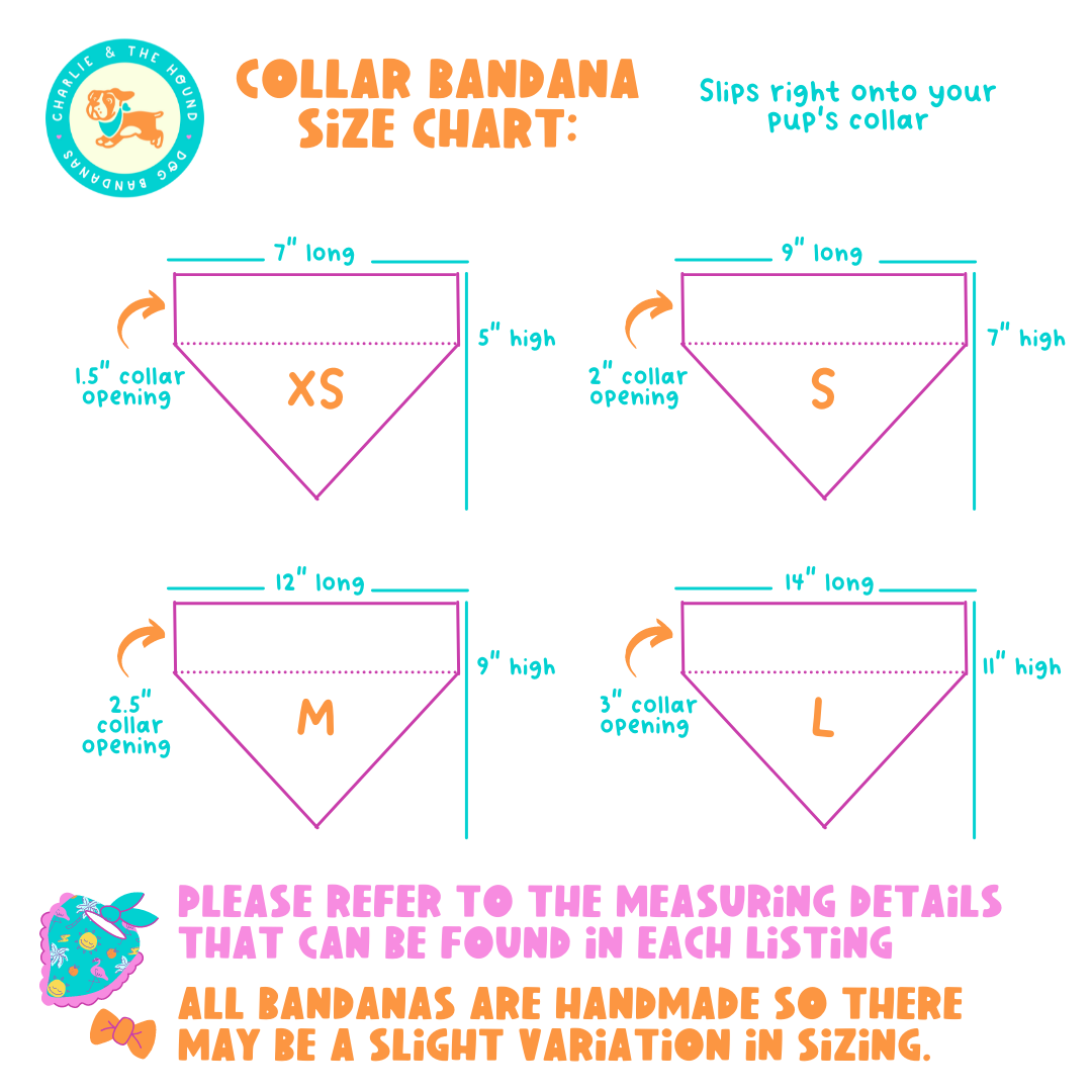 Beach Day Collar Bandana