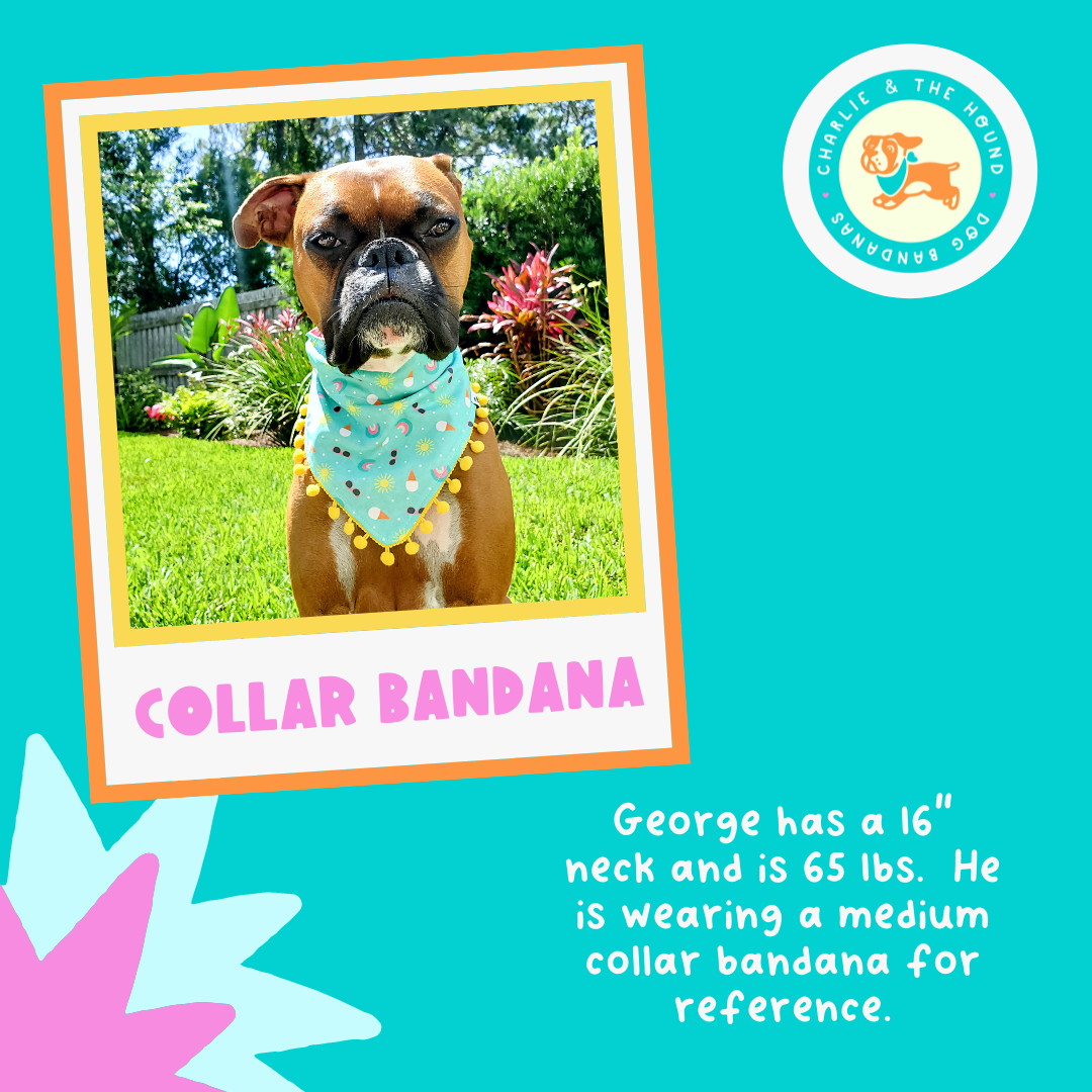 Beach Day Collar Bandana