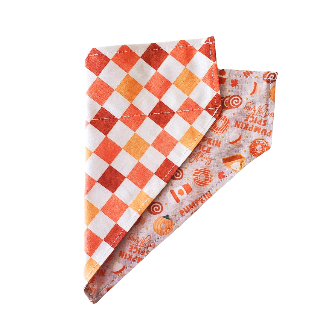 Pumpkin Spice Everything Collar Bandana