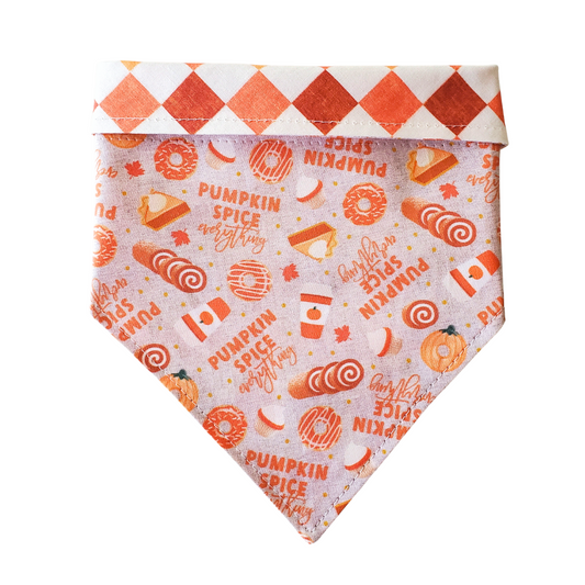 Pumpkin Spice Everything Collar Bandana