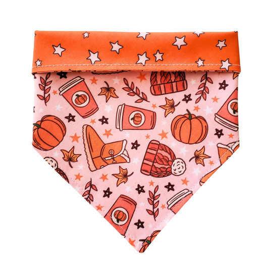 Fall Basics Collar Bandana