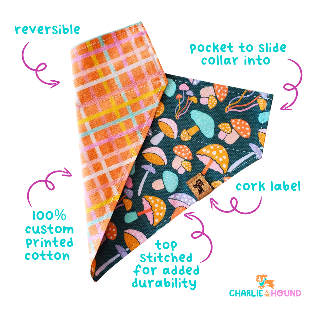 Cozy Fall Collar Bandana