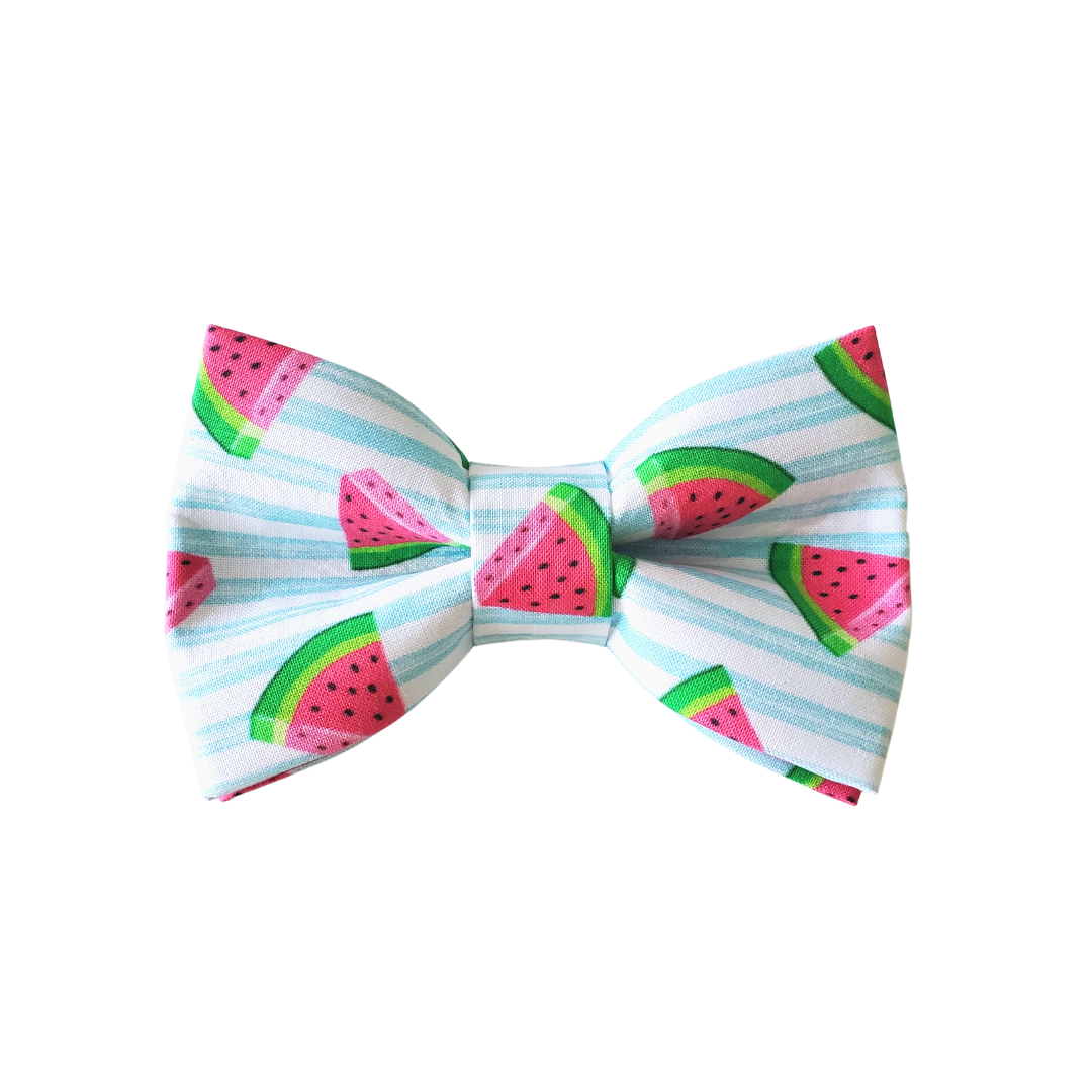 Watermelon Dog Bow Tie