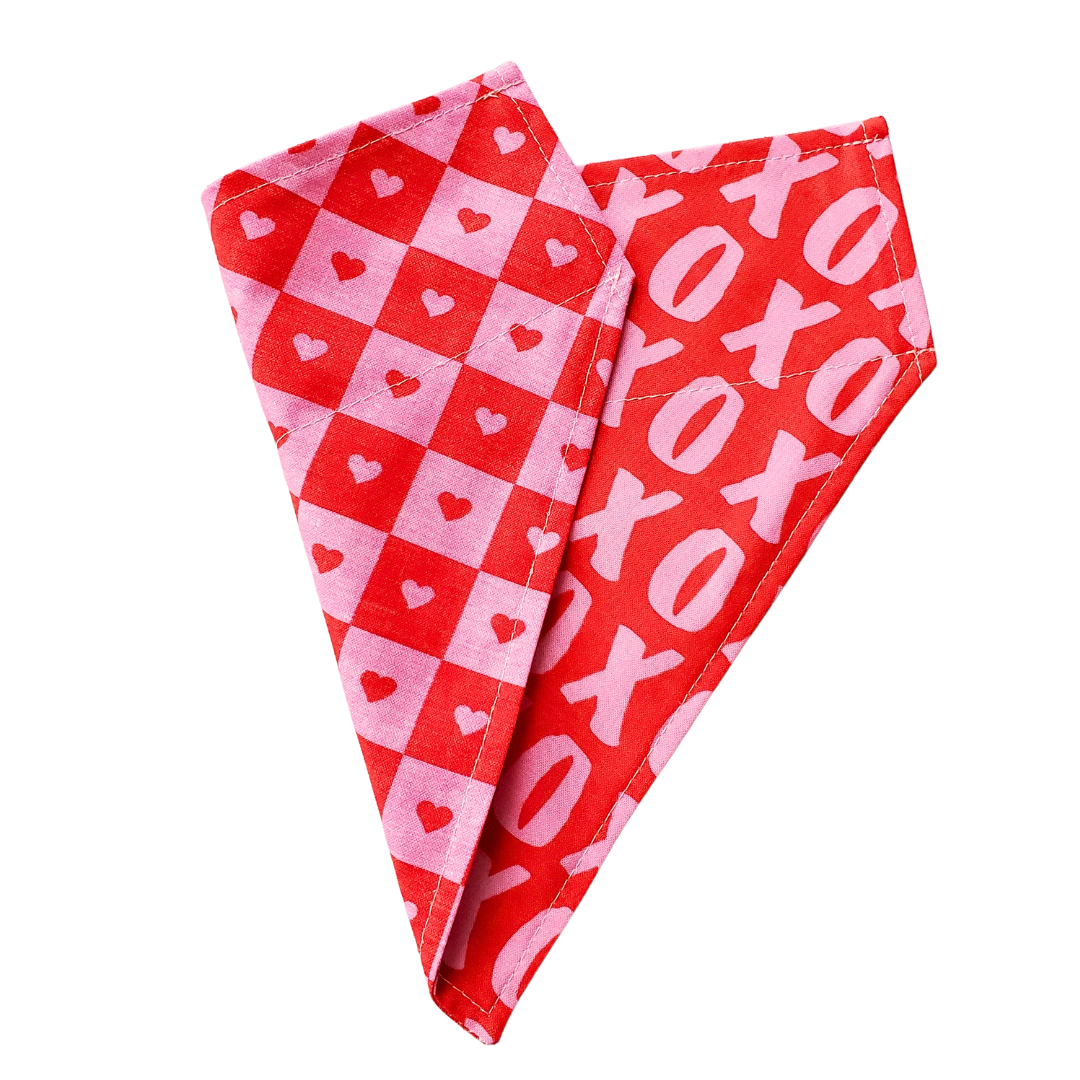 XOXO Collar Bandana