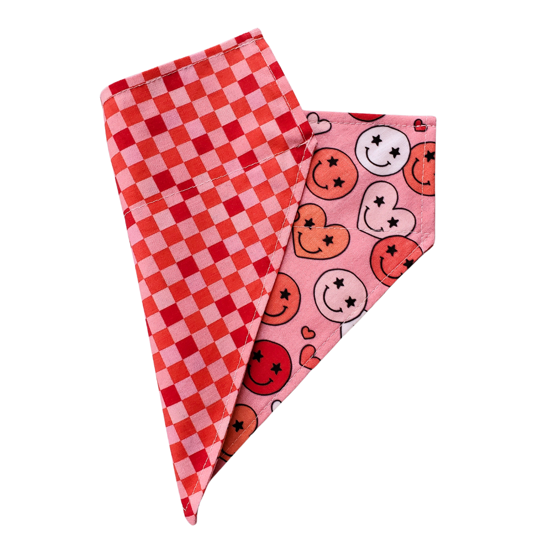 Happy Valentine Collar Bandana