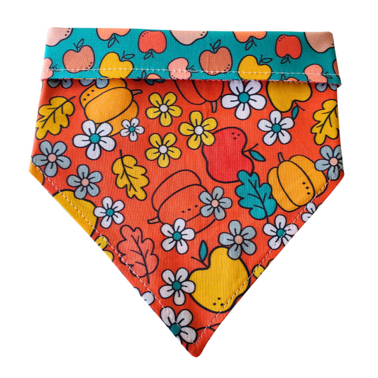 Fall Apples & Pumpkins Collar Bandana