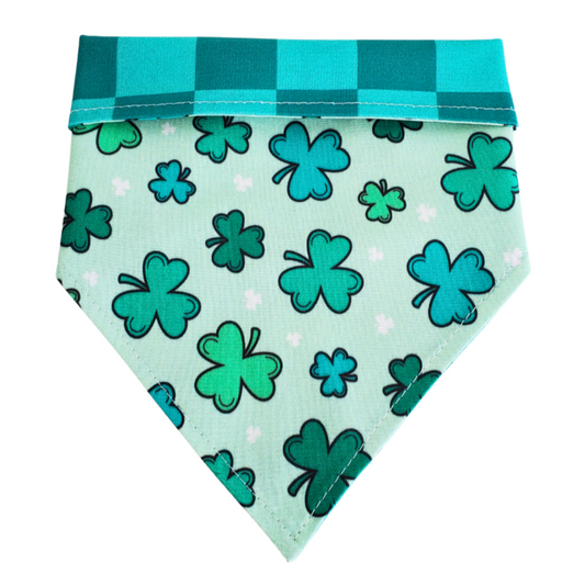 Lucky Clover Collar Bandana