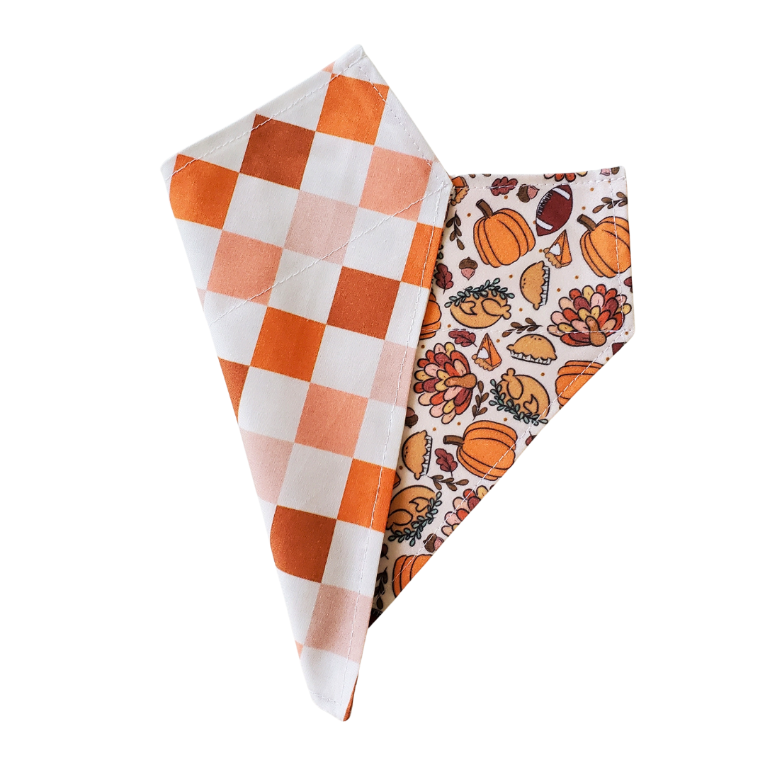 Thanksgiving Day Collar Bandana