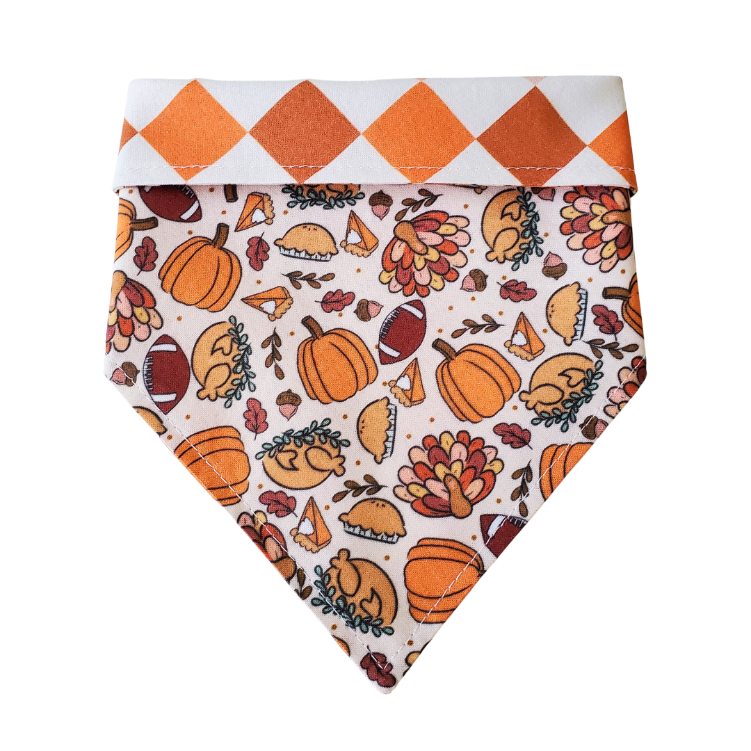 Thanksgiving Day Collar Bandana