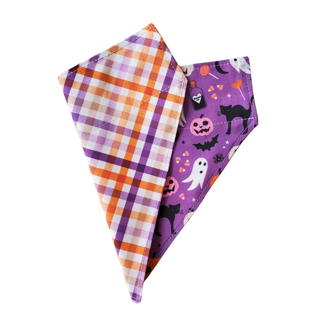 Purple Halloween Collar Bandana