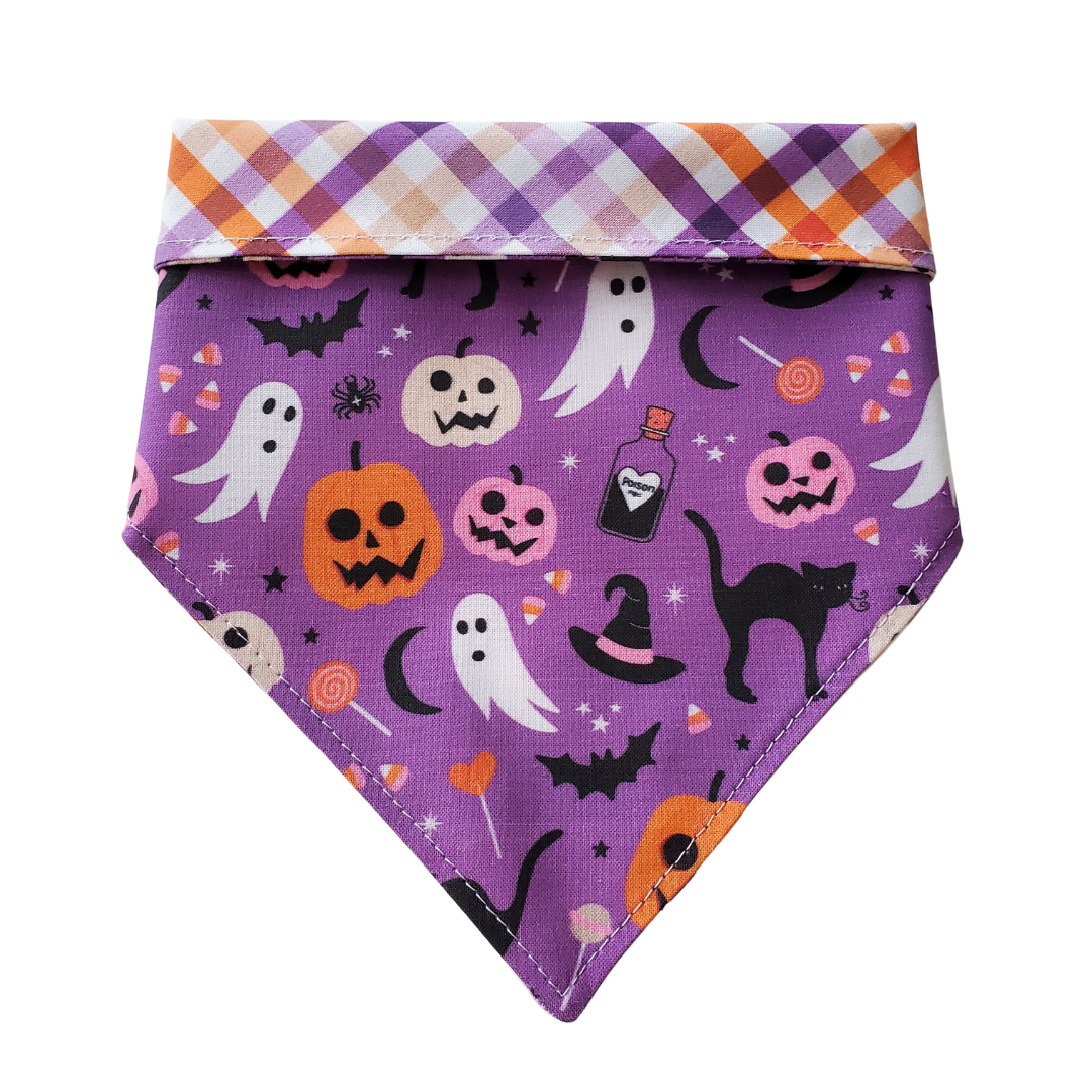 Purple Halloween Collar Bandana