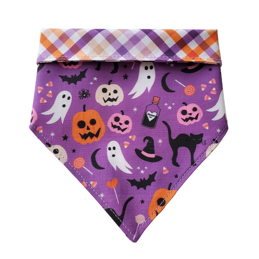 Purple Halloween Collar Bandana