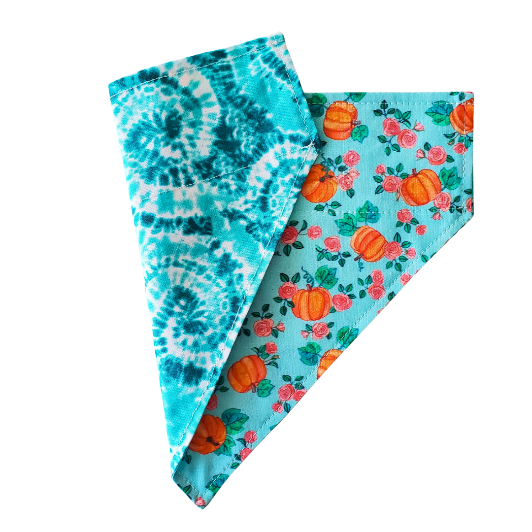 Teal Pumpkin Collar Bandana