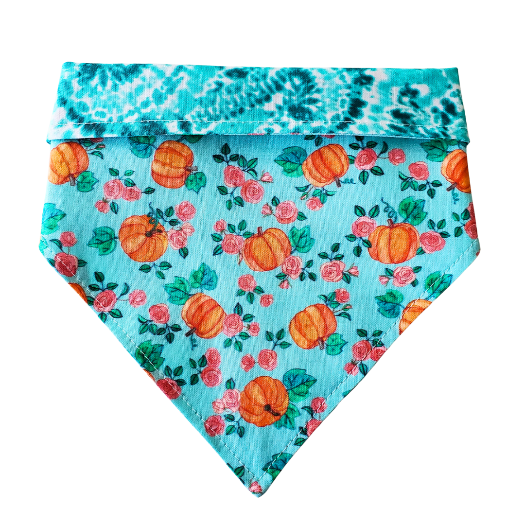 Teal Pumpkin Collar Bandana