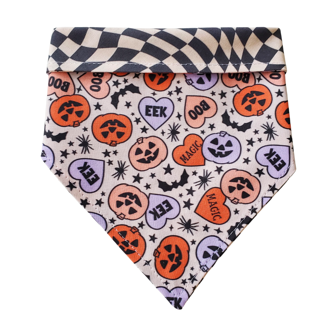 EEK Halloween Collar Bandana