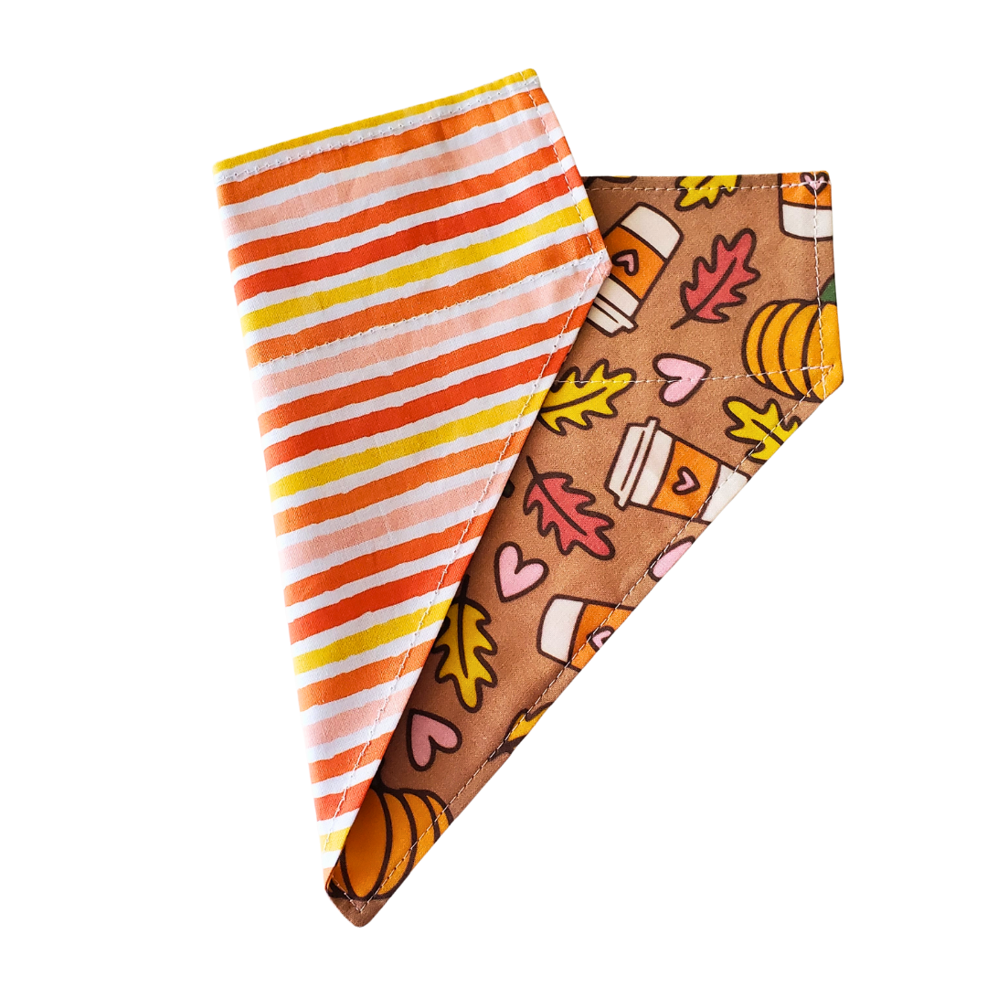 Pumpkin Spice & Stripes Collar Bandana