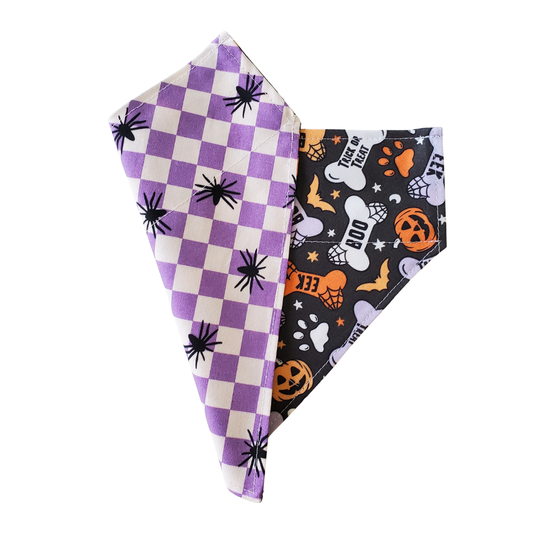 Halloween Bones Collar Bandana