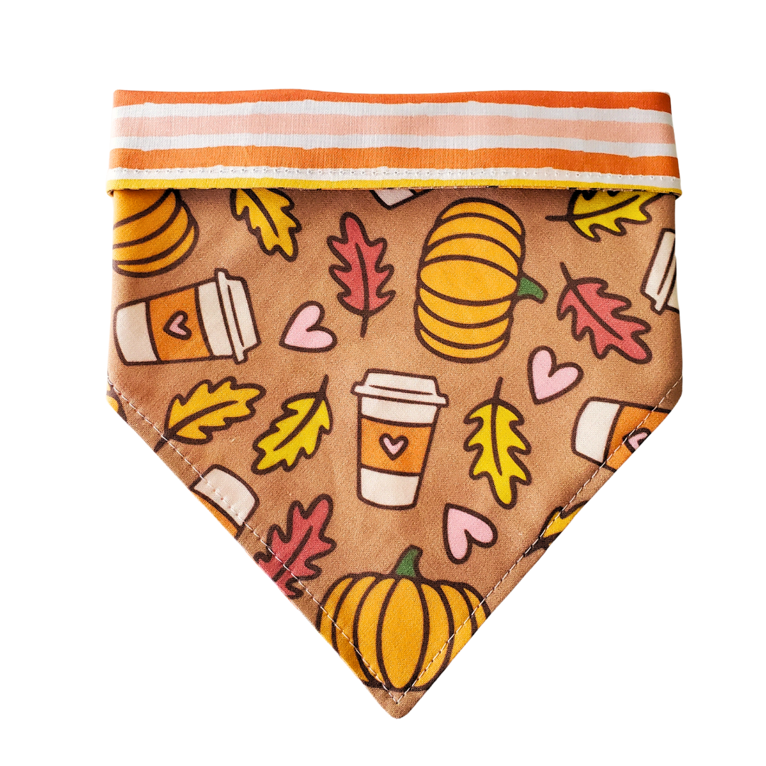 Pumpkin Spice & Stripes Collar Bandana