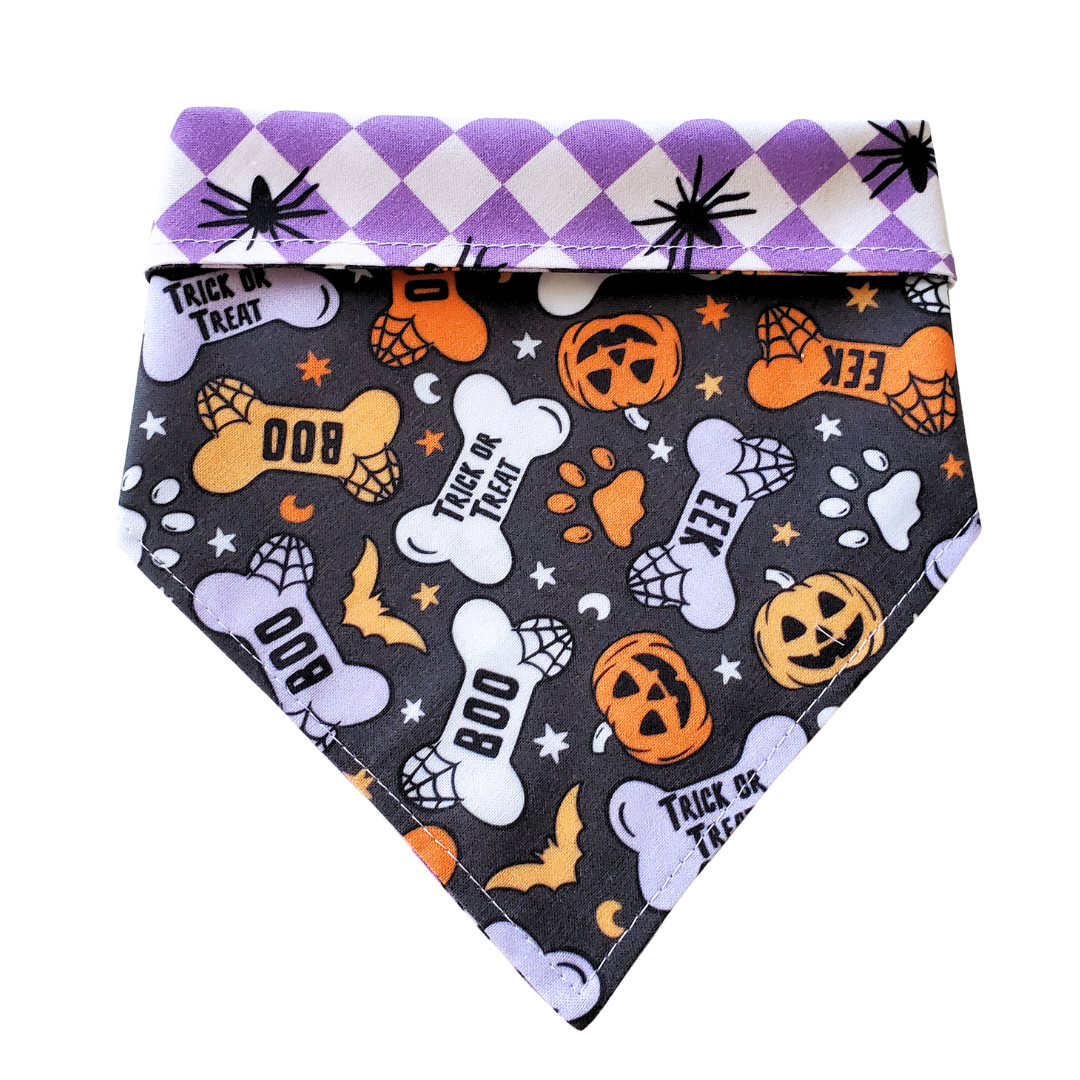 Halloween Bones Collar Bandana