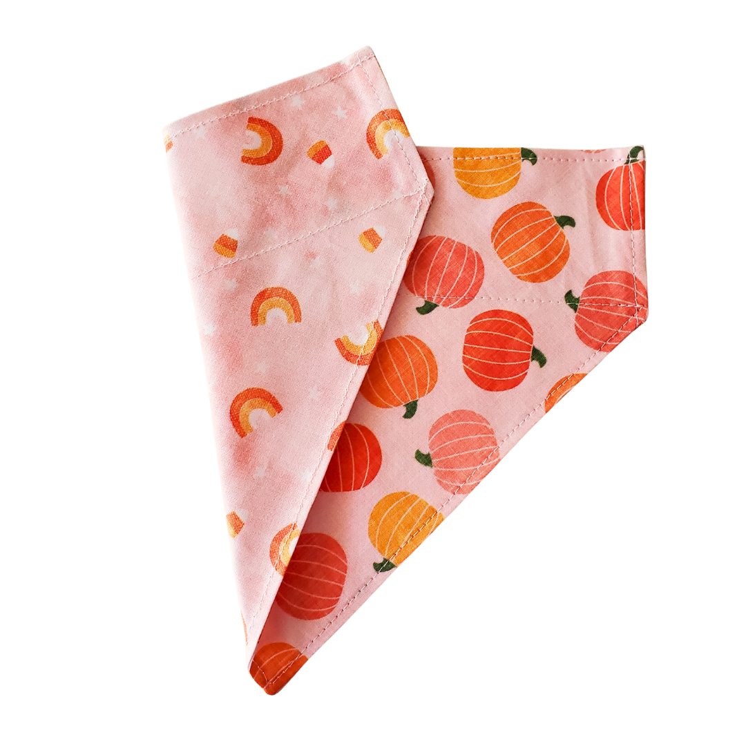 Blush Pumpkins Collar Bandana